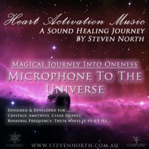 Microphone to the Universe by Steven North