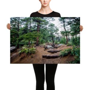 Colorado Mountain Trek - Canvas 24x36