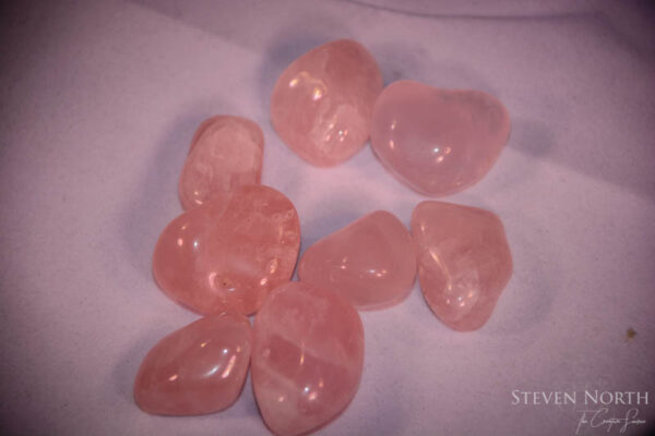 Rose Quartz Tumbled Crystals - Steven North