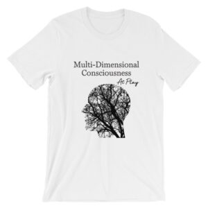 Multi-Dimensional Consciousness At Play - Short-Sleeve Unisex T-Shirt